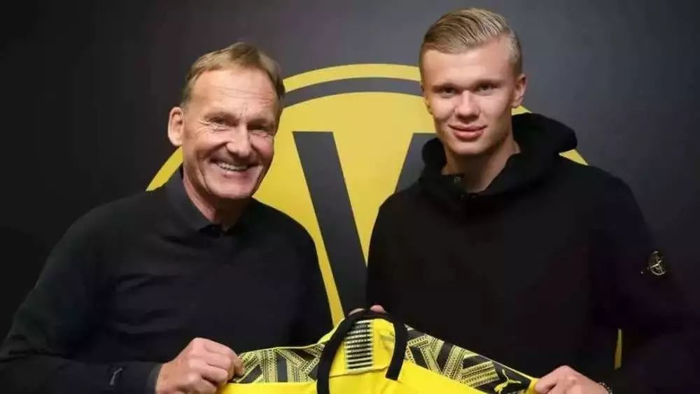 野与具备线 野与具备线