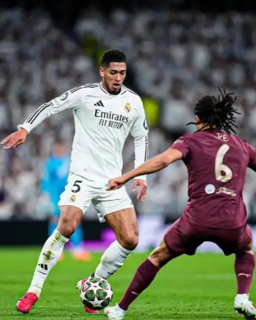 粉丝在社媒 粉丝在社媒